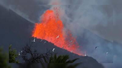 Извержение вулкана на Канарах продолжается. Самолеты по-прежнему не летают - allspain.info - Испания