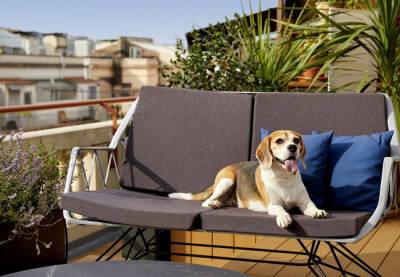 В Барселоне появилась возможность отдыхать на террасе ресторана вместе со своими собаками - catalunya.ru - Испания