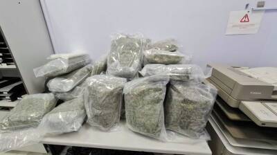 В автомобиле Porsche в Марбелье нашли 25 килограммов марихуаны - noticia.ru - Германия