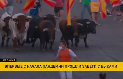 В Испании впервые с начала пандемии прошли забеги с быками - ont.by - Испания - Мадрид - Белоруссия - Беларусь