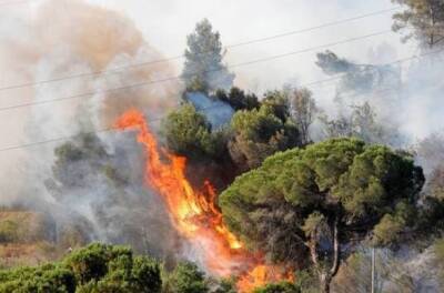 Хосе Гонсалес - В Испании из-за умышленного поджога горят леса: уничтожено 1000 гектаров - unn.com.ua - Украина - Испания - Киев