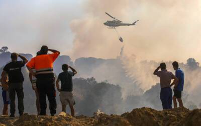 Хосе Гонсалес - В Испании продолжают борьбу с лесными пожарами - tvc.ru - Испания