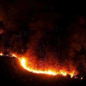 На севере Испании вспыхнули масштабные лесные пожары - reporter-ua.com - Испания