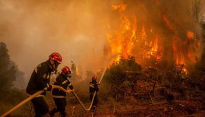 Хосе Гонсалес - В Испании огонь уничтожил почти 1000 гектаров леса - подозревают поджог - ukrinform.ru - Испания