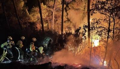El Pais - На юге Испании вспыхнул масштабный лесной пожар - ukrinform.ru - Испания