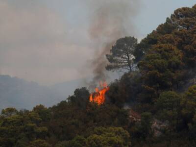 El Pais - На юге Испании горят леса: эвакуировали более 400 человек - unn.com.ua - Украина - Испания - Киев