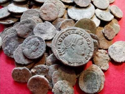 В Испании барсук выкопал монеты Римской империи - unn.com.ua - Украина - Испания - Киев - Римская Империя