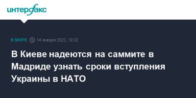 В Киеве надеются на саммите в Мадриде узнать сроки вступления Украины в НАТО - interfax.ru - Украина - Мадрид - Москва - Киев