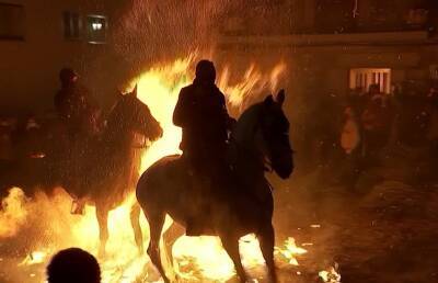 В Испании 100 лошадей прыгнули через костры во время церемонии очищения - ont.by - Испания - Белоруссия - Беларусь