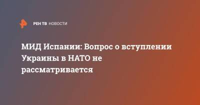 Хосе Мануэль Альбарес - МИД Испании: Вопрос о вступлении Украины в НАТО не рассматривается - ren.tv - Украина - Испания