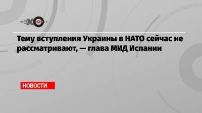 Хосе Мануэль Альбарес - Тему вступления Украины в НАТО сейчас не рассматривают, — глава МИД Испании - echo.msk.ru - Украина - Испания - Швеция - Финляндия