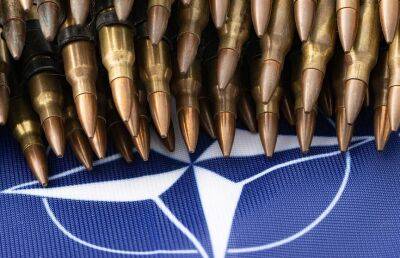 В Испании описали план НАТО по Украине - ont.by - Украина - Россия - Испания - Сша - Белоруссия - Беларусь