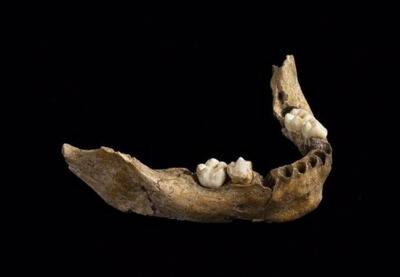 На территории современной Каталонии были обнаружены самые древние останки человека разумного - catalunya.ru - Испания - Сша