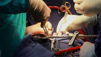 В Испании нашли самые ранние свидетельства проведения хирургических операций на ухе - mir24.tv - Италия - Испания - Греция