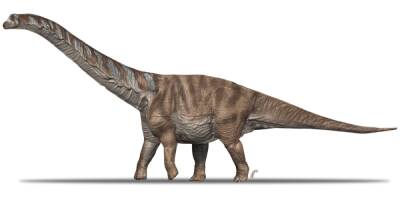 Перешли море. В Испании нашли останки титанозавров, пришедших из Африки 70 млн лет назад - focus.ua - Украина - Испания - Германия