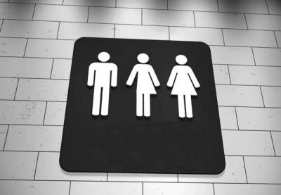 В культурных учреждениях Барселоны появятся гендерно-нейтральные туалеты - catalunya.ru - Испания