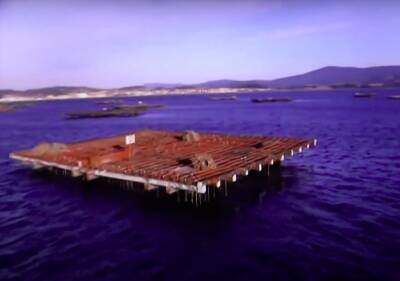 В Испании откроют фермы по разведению осьминогов - noticia.ru - Испания