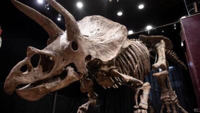 Hallan uno de los últimos dinosaurios: un enorme carnívoro de brazos «gigantes» y garras de 35 cm para despedazar a sus presas - allspain.info - Argentina