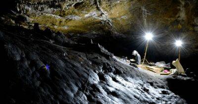 В одной из пещер Испании найдена "художественная студия" неандертальцев (фото) - focus.ua - Украина - Испания - Германия