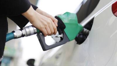 Рекордного значения достигли цены на бензин в Испании - russian.rt.com - Россия - Испания