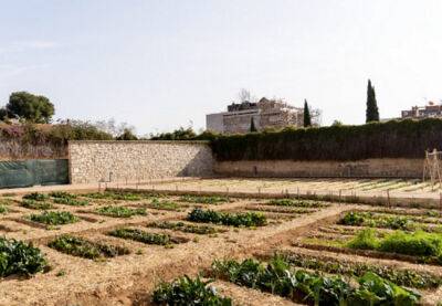 В монастыре Pedralbes открывается древний огород-музей - catalunya.ru - Испания