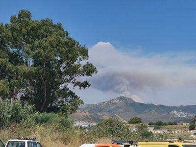 На юг Испании обрушился лесной пожар: усугубляет ситуацию жара - unn.com.ua - Украина - Испания - Киев