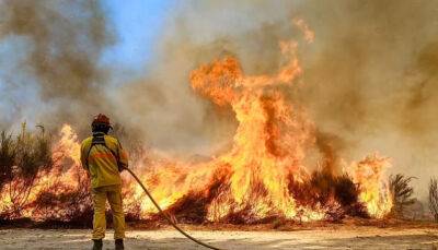 В Португалии и Испании бушуют лесные пожары, десятки пострадавших - ukrinform.ru - Испания - Португалия - Греция - Нью-Йорк - Мозамбик