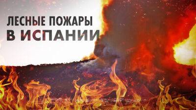 Массовые лесные пожары в Испании — видео - russian.rt.com - Испания