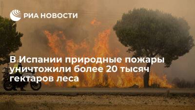 Педро Санчес - В Испании природные пожары уничтожили более 20 тысяч гектаров леса, один человек погиб - ria.ru - Испания - Москва