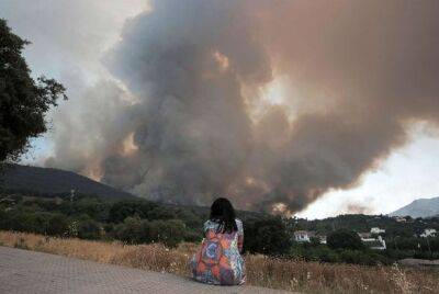 В Испании и Португалии более 1000 человек погибли от изнуряющей жары - unn.com.ua - Украина - Испания - Франция - Португалия - Англия - Евросоюз - Киев