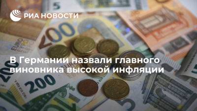 Владимир Путин - Профессор Зинна из Германии возложил вину за высокую инфляцию в Европе на ЕЦБ - ria.ru - Украина - Россия - Италия - Испания - Сша - Москва - Евросоюз - Германия