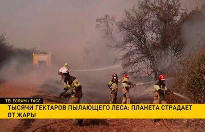 В Испании из-за угрозы пожаров эвакуированы более 8 тыс. человек: страну не покидает аномальная жара - ont.by - Испания - Белоруссия - Беларусь - республика Саха