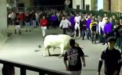 Во время забега быков в Испании погибли три человека - noticia.ru - Испания