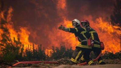 Более 1700 человек погибли в Португалии и Испании из-за сильной жары в Европе - unn.com.ua - Украина - Испания - Франция - Португалия - Лондон - Греция - Киев
