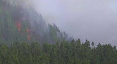 На Тенерифе из-за пожара эвакуированы почти 600 человек - noticia.ru - Испания