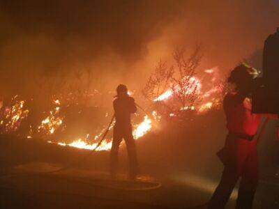 Северо-восток Испании охватили сильные лесные пожары - unn.com.ua - Украина - Испания - Египет - Киев