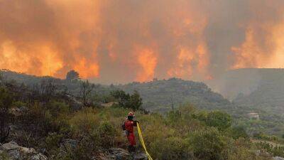 В Испании лесные пожары уничтожили почти 250 тысяч гектаров угодий - ru.euronews.com - Испания - Франция - Англия