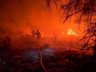 Огромный лесной пожар в Испании уничтожил тысячи гектаров - unn.com.ua - Украина - Испания - Франция - Португалия - Греция - Киев - Валенсия