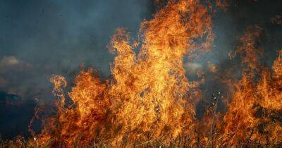 В Испании из-за масштабных пожаров сожжено более 10 тысяч гектаров земли: огонь распространяется (видео) - focus.ua - Украина - Испания - Бразилия - Валенсия