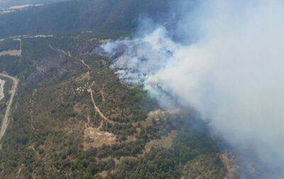 В Испании и Португалии бушуют лесные пожары: есть пострадавшие - korrespondent.net - Украина - Испания - Португалия - Мадрид
