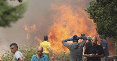 Лесные пожары в Испании: огонь перекинулся на поезд, пострадали около 20 человек (фото) - focus.ua - Украина - Испания
