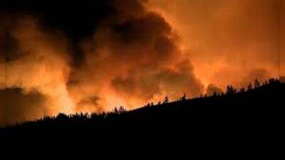 В Испании и Португалии горят леса - ru.euronews.com - Испания - Португалия