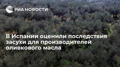 Europa Press: засуха может вдвое сократить урожай оливок в испанской Кордове - ria.ru - Испания - Москва