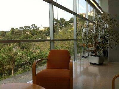 Одна из лучших зеленых библиотек мира расположена в природном парке Collserola - espanarusa.com - Испания - Сингапур - Барселона - Брюссель - Бостон