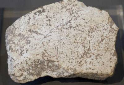 Тысячелетние гравюры обнаружили археологи в Испании - catalunya.ru - Испания - Santa