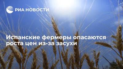 TVE: испанские фермеры боятся, что из-за засухи люди не смогут позволить себе купить хлеб - ria.ru - Испания - Москва