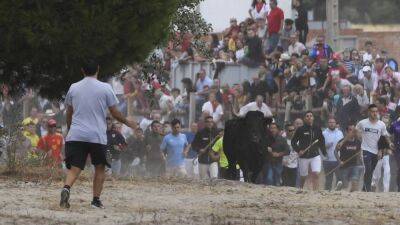 Забеги быков в Испании: быть или не быть? - ru.euronews.com - Испания - Мадрид