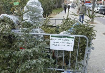 Городской совет Барселоны утилизирует новогодние елки горожан - catalunya.ru - Испания - Каталонии