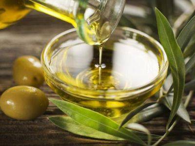 В Европе подорожало оливковое масло: это повлияло на стоимость традиционной еды в Италии и Испании - unn.com.ua - Украина - Италия - Испания - Киев