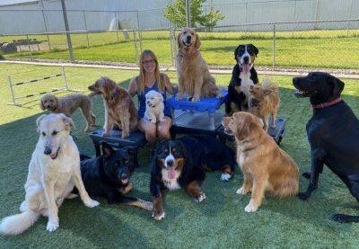 В Барселоне открылся детский сад для собак - catalunya.ru - Испания